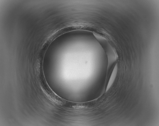X0000080790448200701051358
