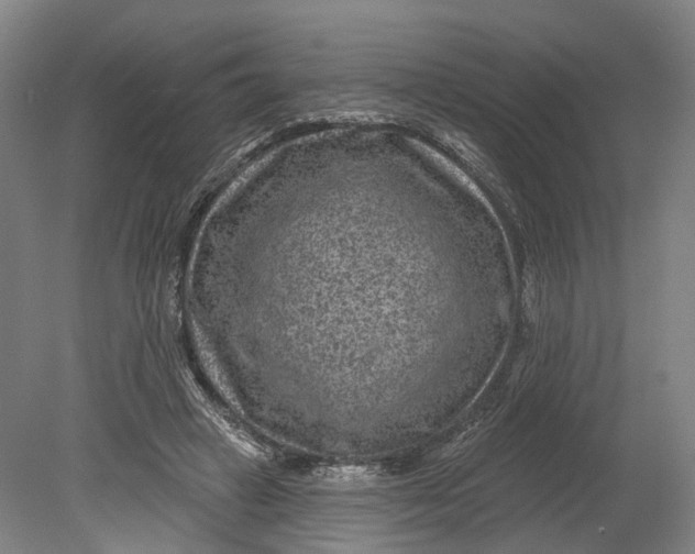 X0000080790449200701051358