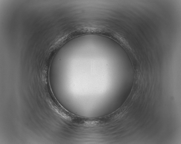 X0000080790450200701051358