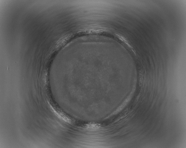 X0000080790451200701051358