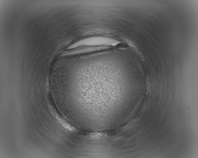 X0000080790453200701051358