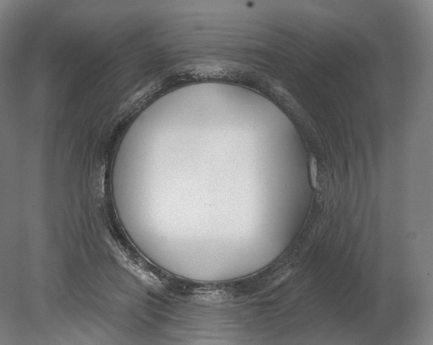 X0000080790454200701051358