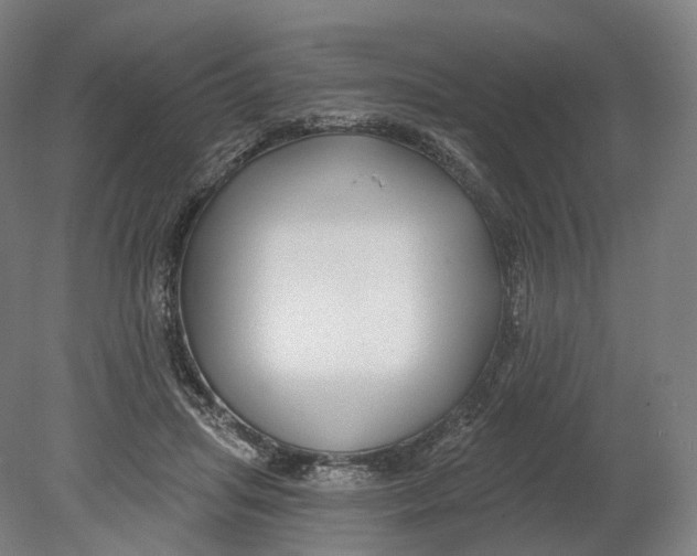 X0000080790455200701051358
