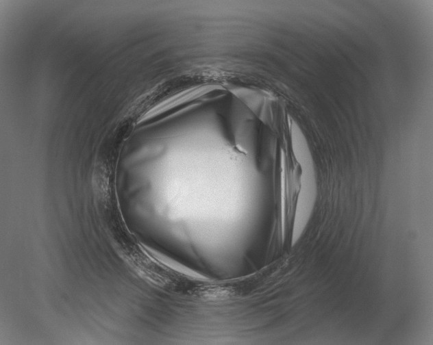 X0000080790456200701051358