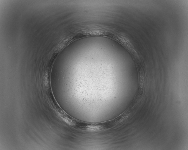 X0000080790457200701051358
