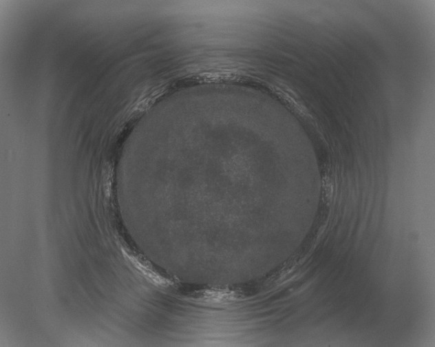 X0000080790458200701051358