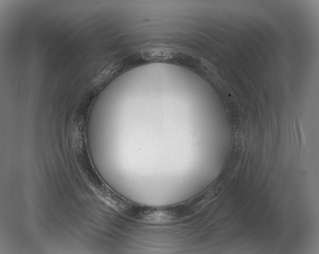 X0000080790460200701051358