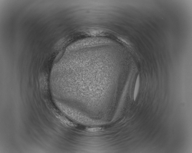 X0000080790461200701051358