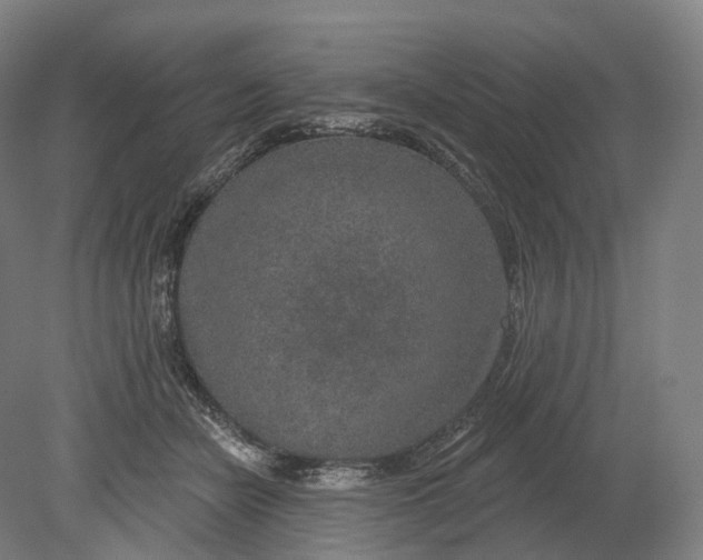 X0000080790462200701051358