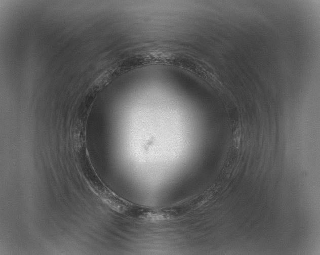 X0000080790464200701051358