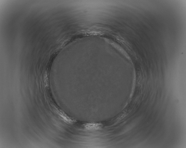 X0000080790465200701051358