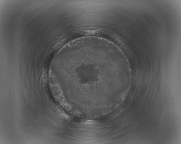 X0000080790467200701051358