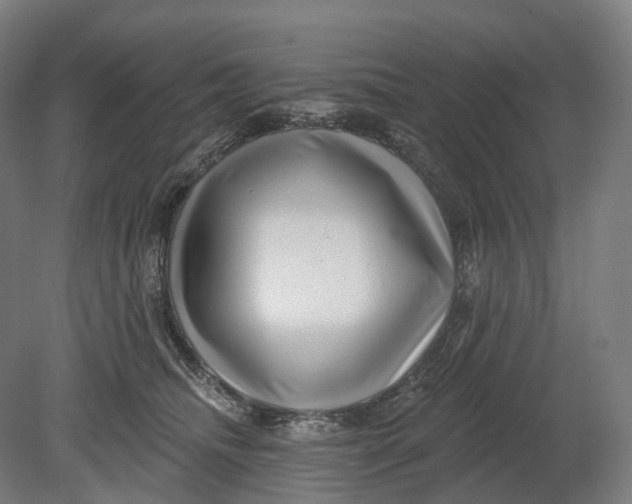 X0000080790468200701051358