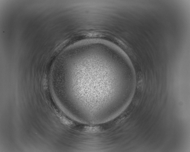 X0000080790469200701051358