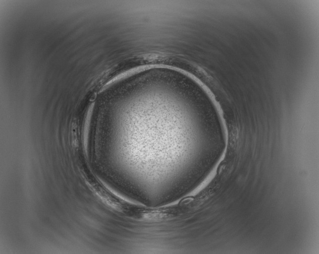 X0000080790470200701051358