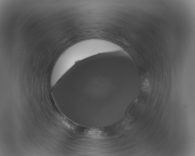 X0000080790471200701051358