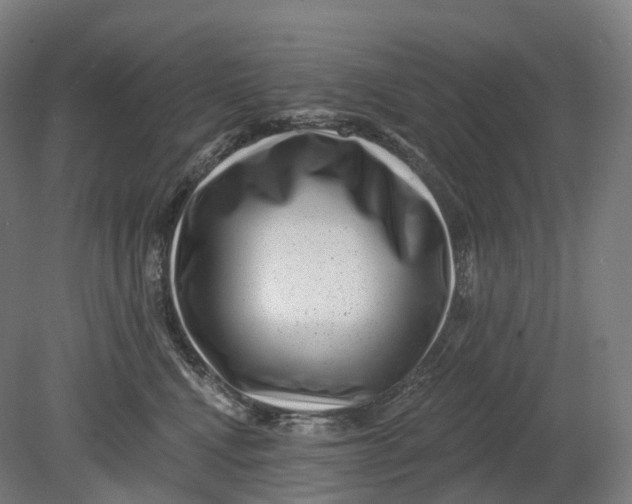 X0000080790472200701051358