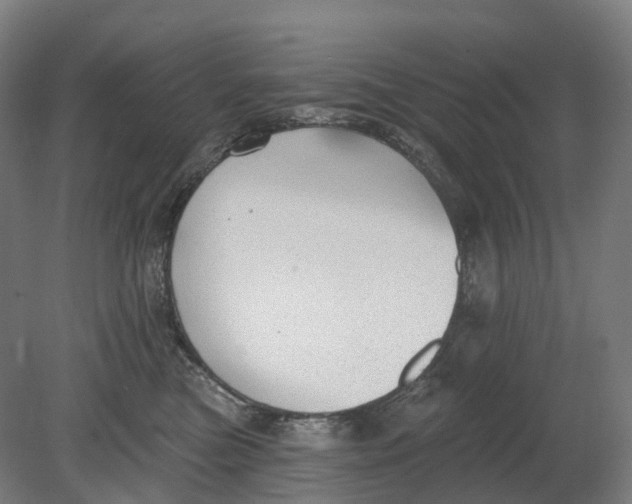 X0000080790473200701051358