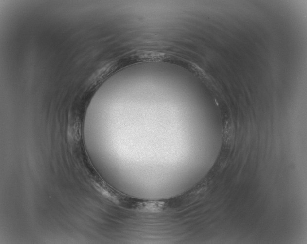 X0000080790474200701051358