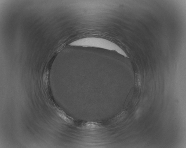 X0000080790475200701051358