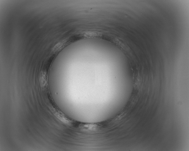 X0000080790478200701051358