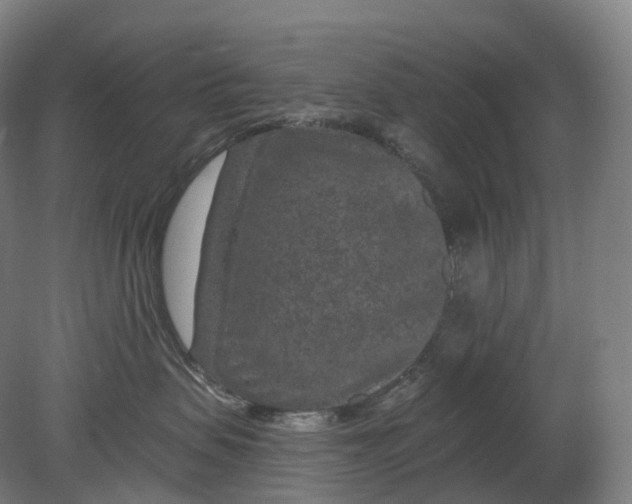 X0000080790479200701051358