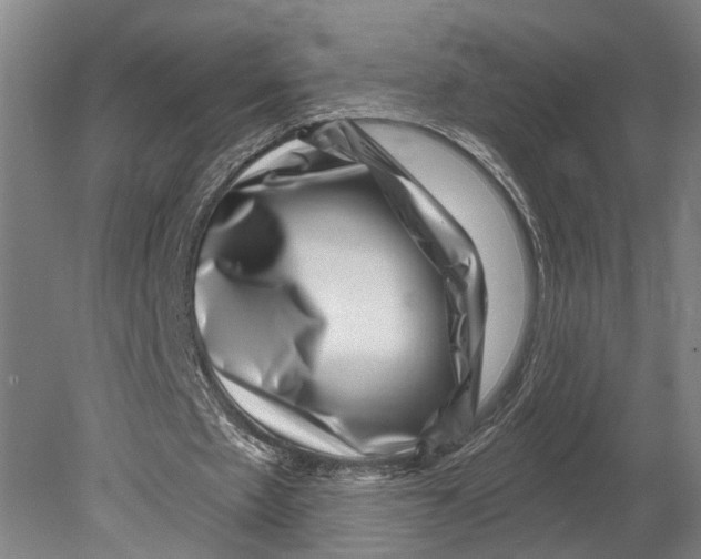 X0000080790481200701051357