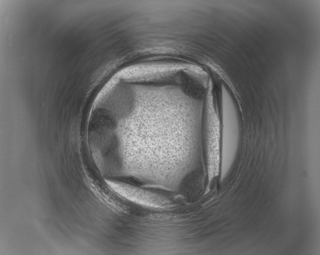 X0000080790482200701051357