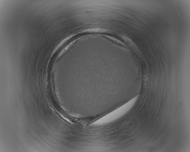 X0000080790484200701051357