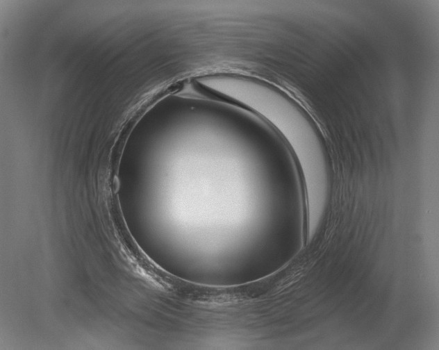 X0000080790485200701051357
