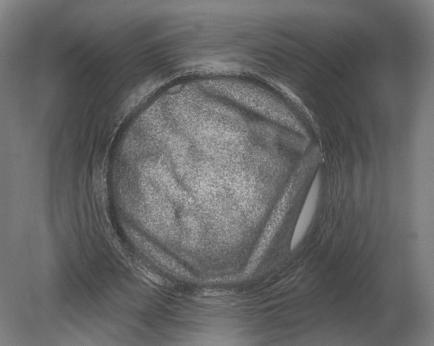 X0000080790487200701051357