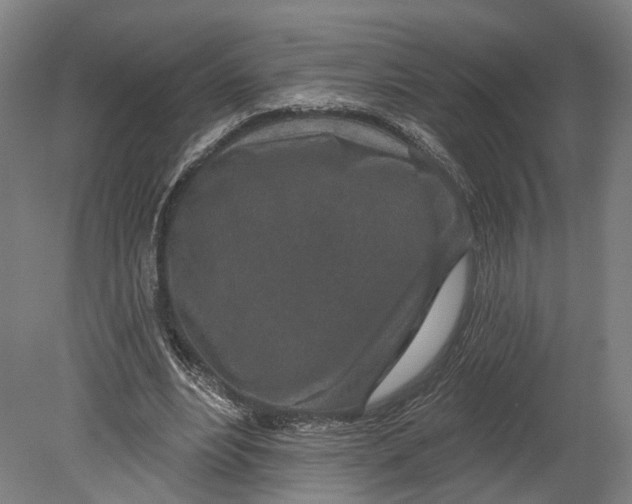 X0000080790488200701051357