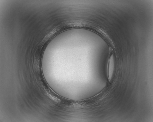 X0000080790489200701051357