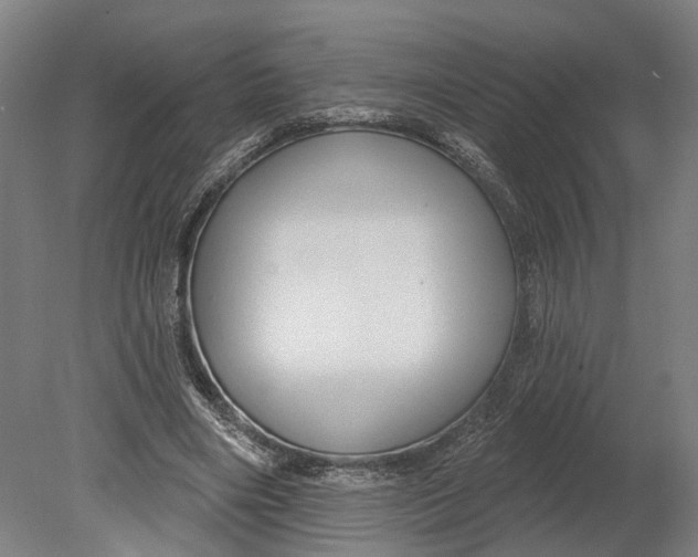 X0000080790490200701051357