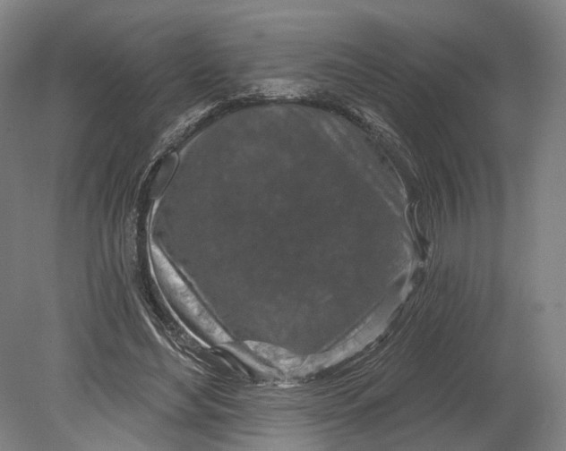 X0000080790492200701051357