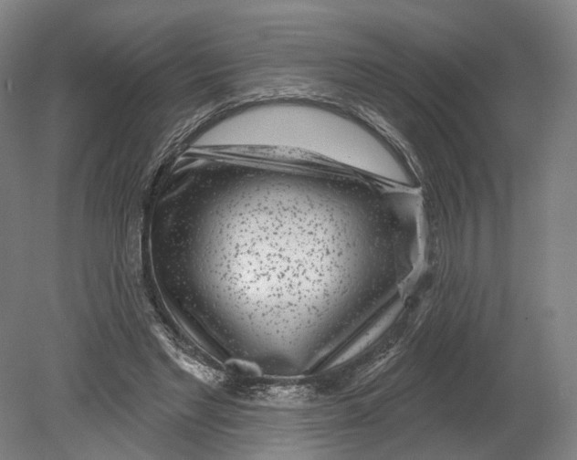 X0000080790493200701051357