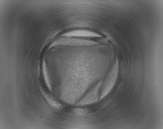 X0000080790494200701051357