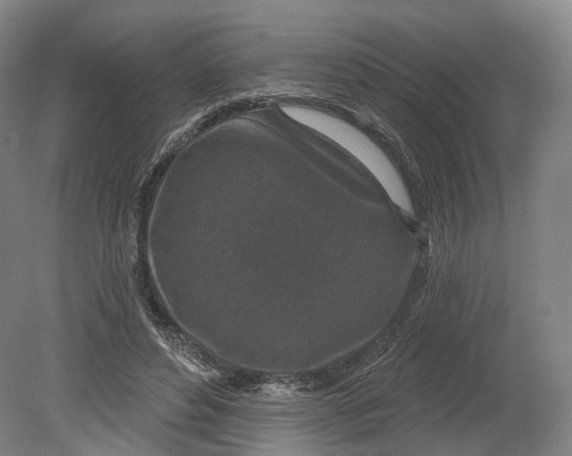 X0000080790496200701051357