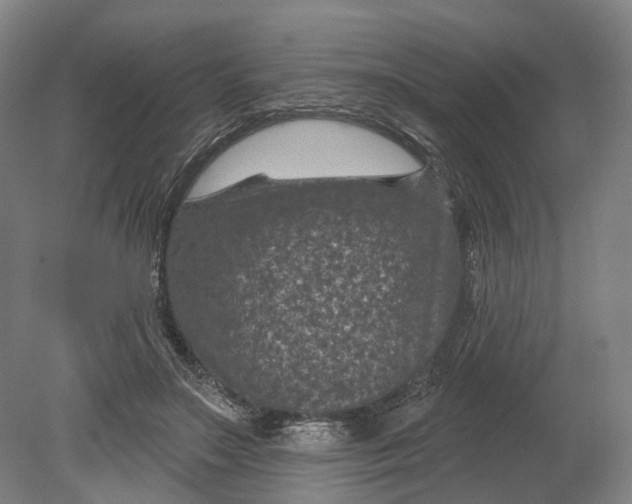 X0000080790499200701051357