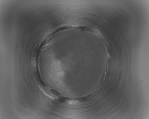 X0000080790500200701051357
