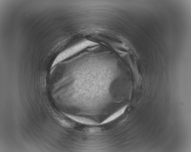 X0000080790501200701051357