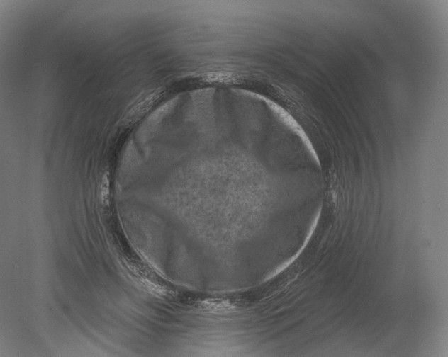 X0000080790502200701051357