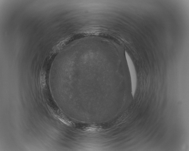 X0000080790504200701051357