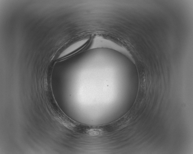 X0000080790508200701051357