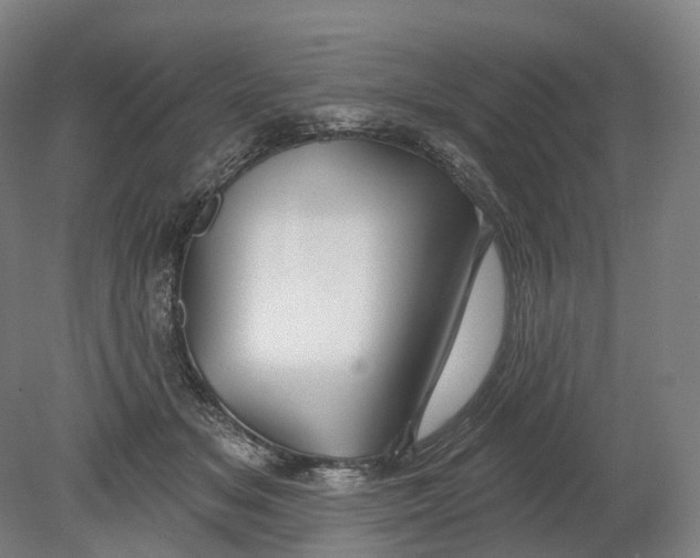 X0000080790509200701051357