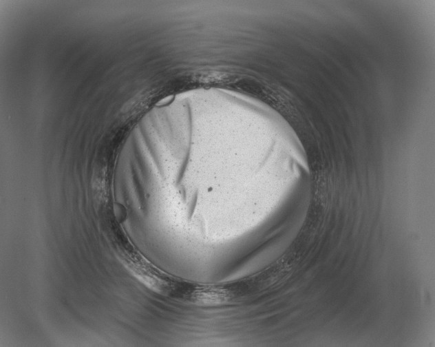X0000080790510200701051357