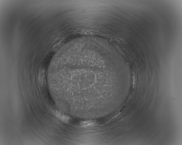 X0000080790511200701051357