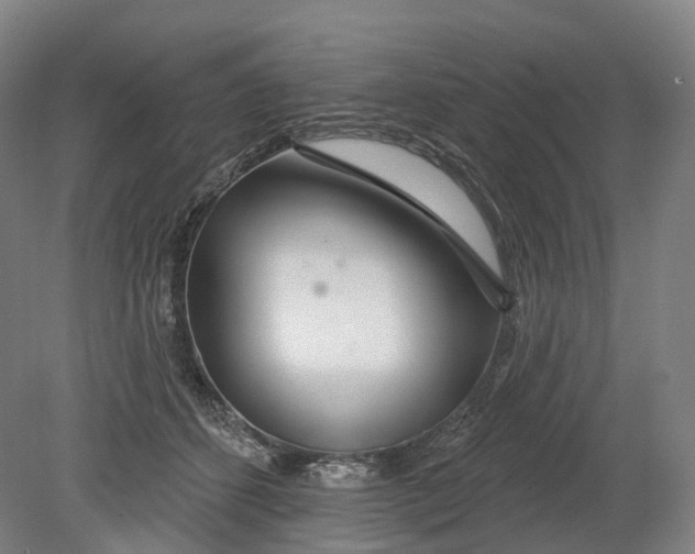 X0000080790512200701051357