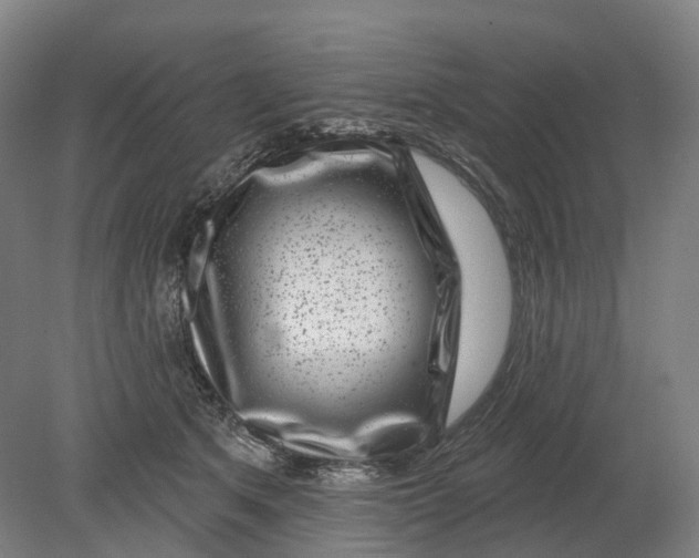X0000080790513200701051357