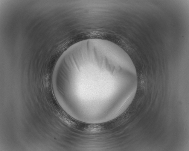 X0000080790514200701051357